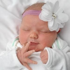 Meet your Posher, Terry